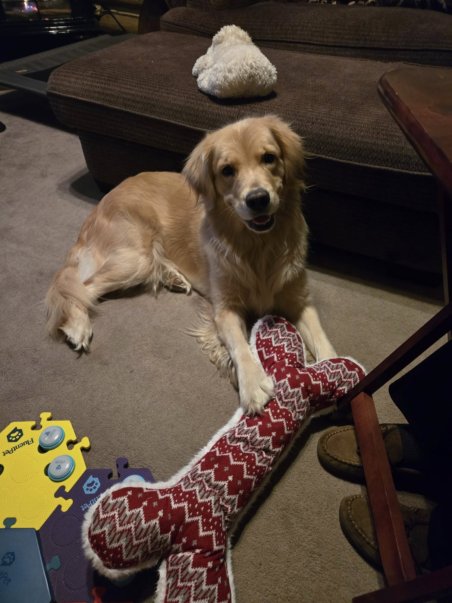 468077300 10226793461410162 5812393938869071890 N 1