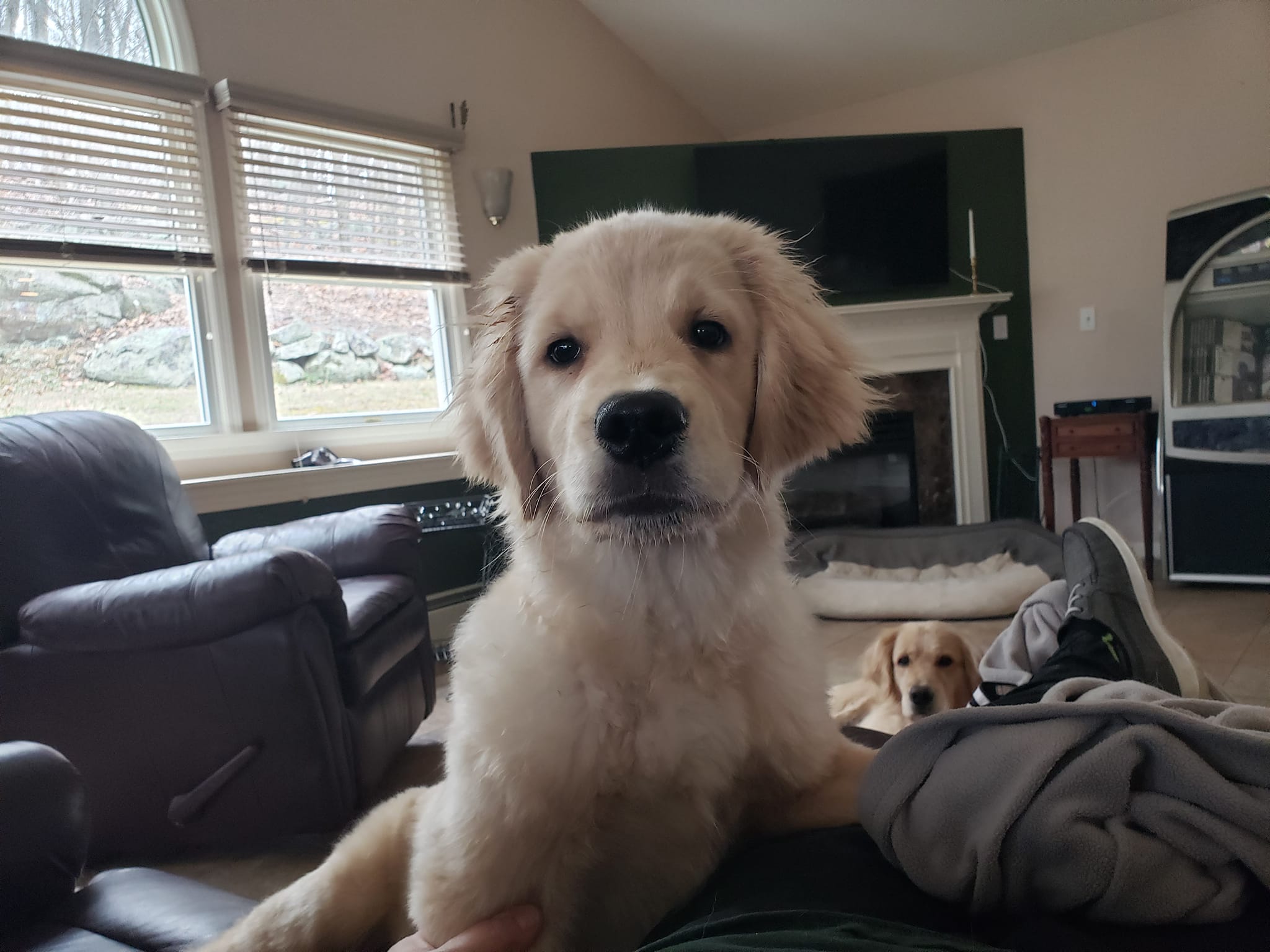 487114476 10227639262714666 4441473437308258471 N