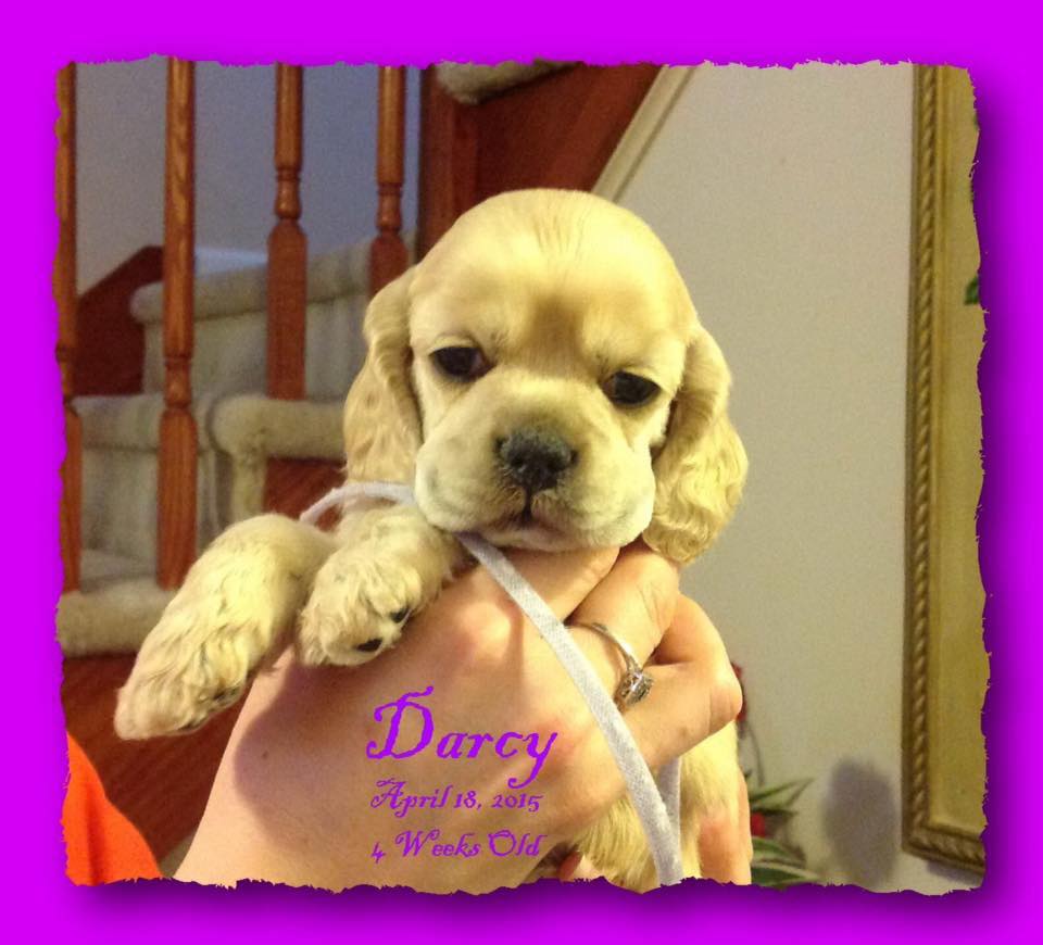 54434037 10217820793250074 5892290677336702976 N