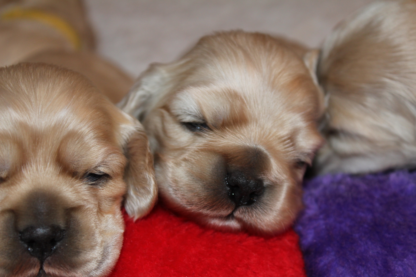 Mastering the First Impression: Your intriguing post title goes here Download 1