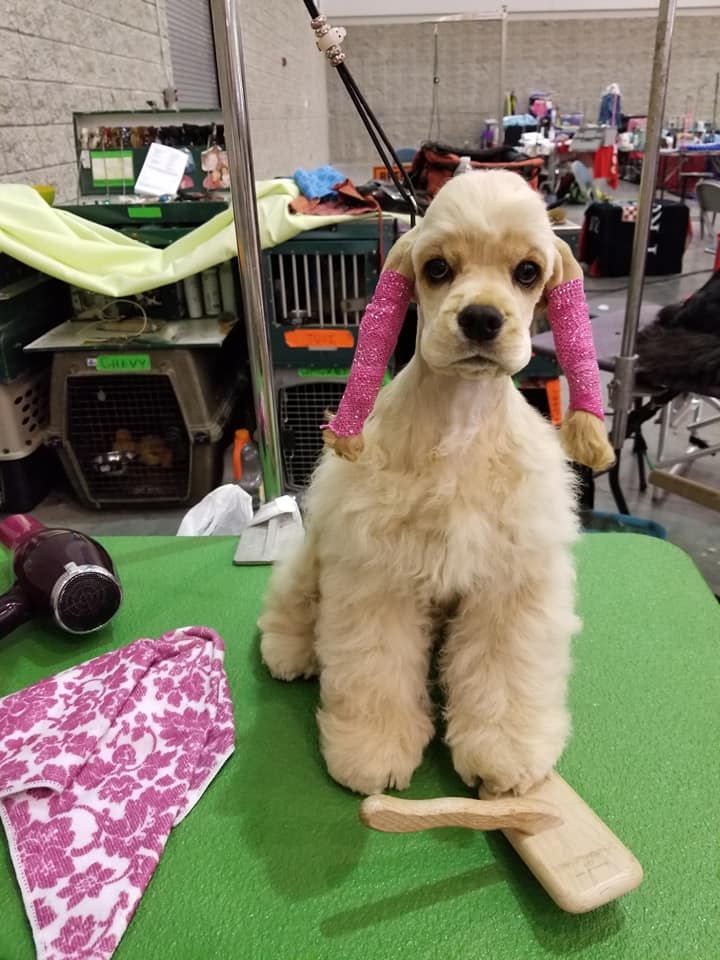 My Favorite Things download (32)