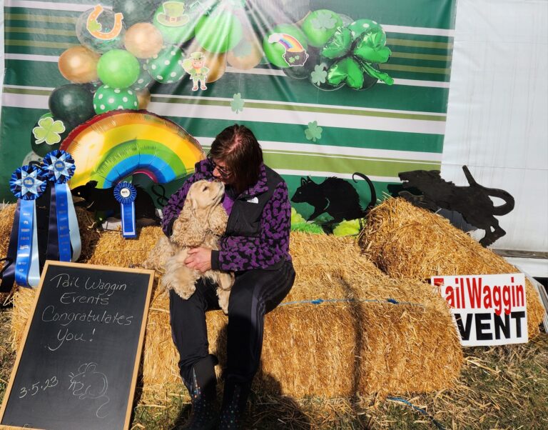 Pinecliff Cockers Do It All! download (62)