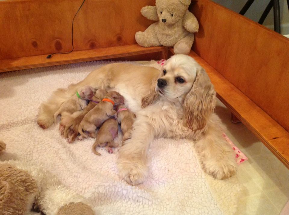 The Art of Drawing Readers In: Your attractive post title goes here The Art of Drawing Readers In: Your attractive post title goes here