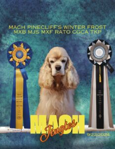 Pinecliff Cockers Do It All! img 20241018 105849