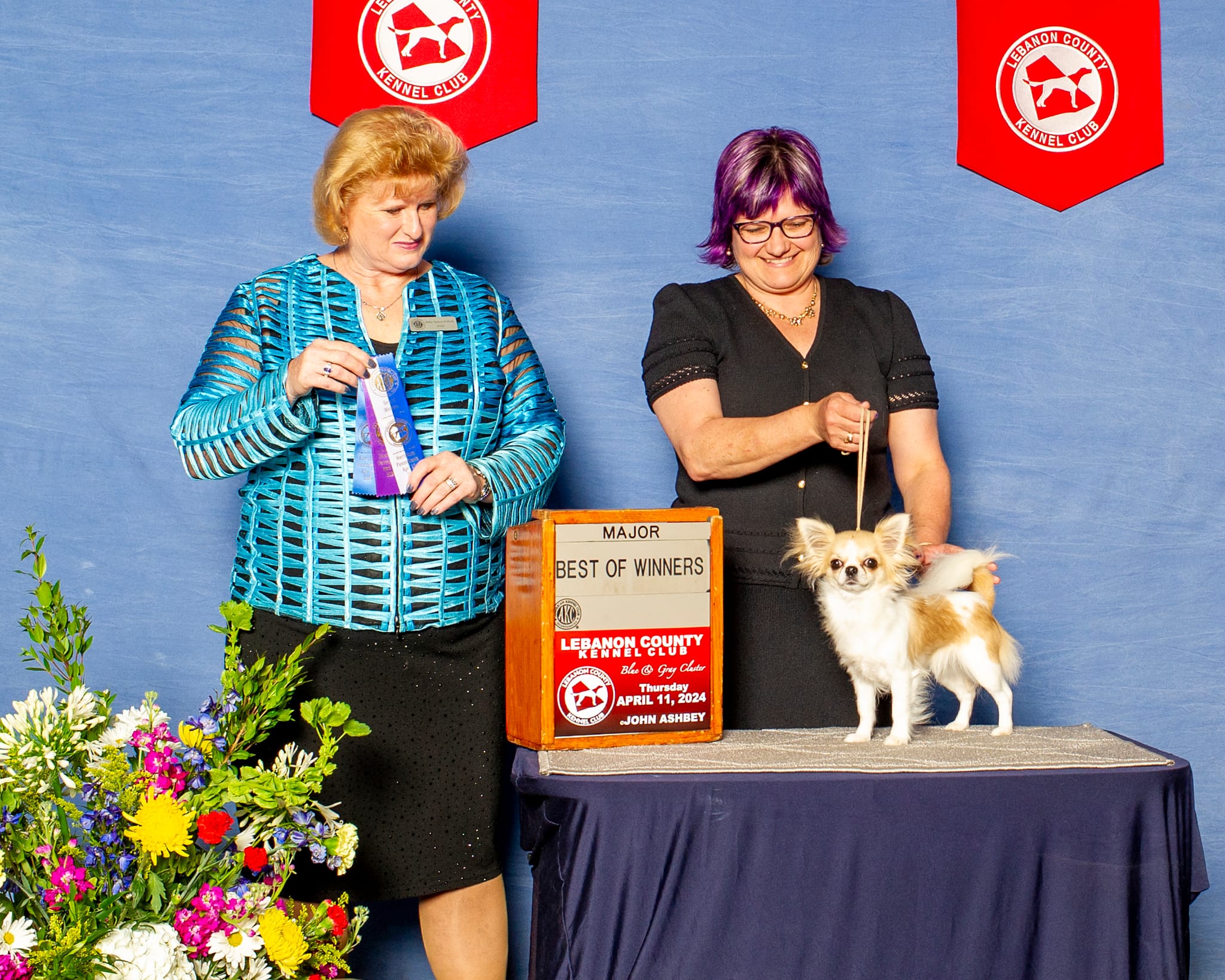 The Chihuahua Nursery whatsapp image 2025 10 07 at 19.49.21 b53fa834